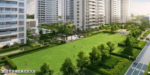 宁波绿城小区最新爆料,揭秘神秘事件背后的真相  第1张