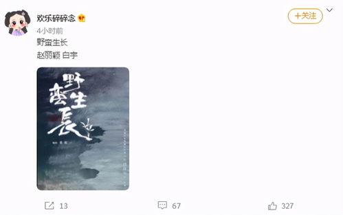 网友爆料商战视频,网友爆料视频深度解析 第1张 网友爆料商战视频,网友爆料视频深度解析 第1张